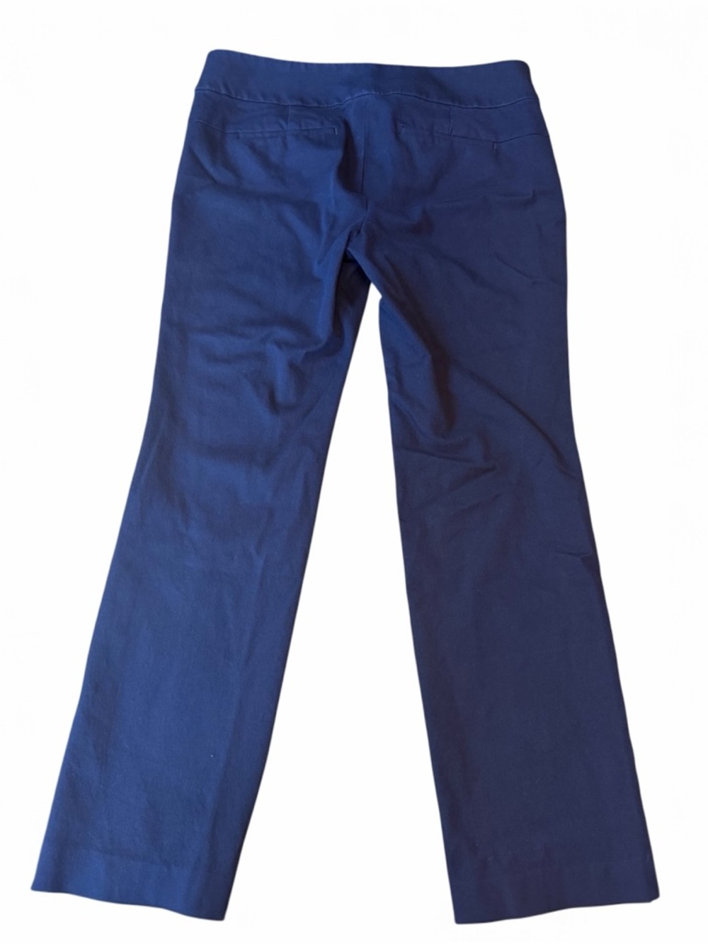 LOFT Marisa Straight Petite Navy Dress Pants 10P